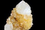 Sunshine Cactus Quartz Crystal Cluster - South Africa #80203-2